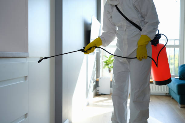 Biohazard Mold Removal in Sparks, TX