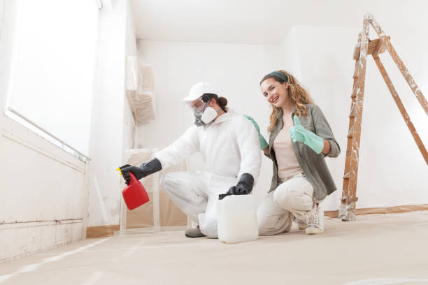 Sparks, TX Mold Removal Company